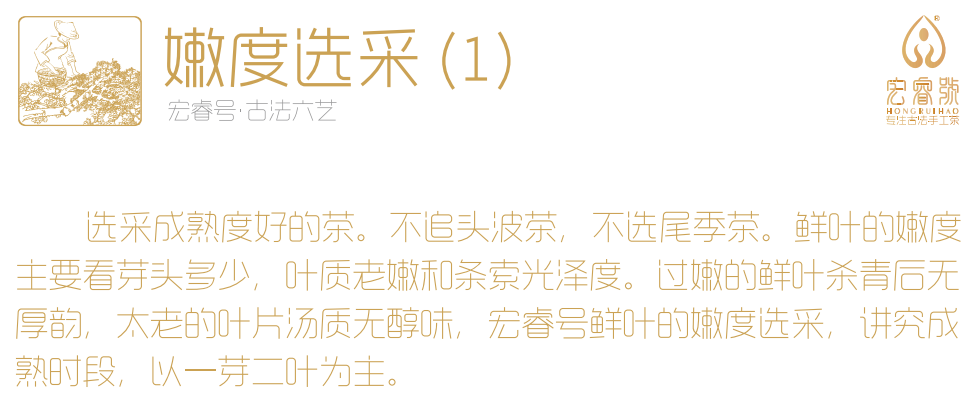 宏睿号 坚持古法手工茶