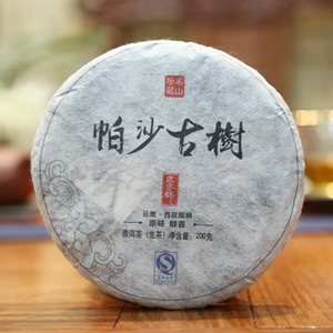 2013帕沙小饼