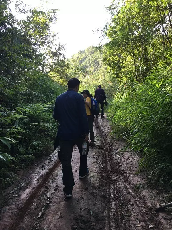 茶山行 一场亲近大地的行走