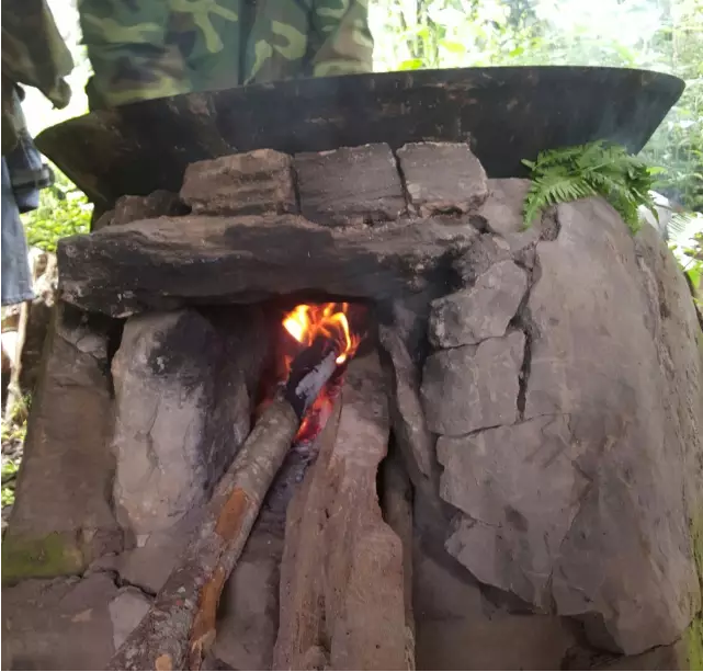 茶山行 一场亲近大地的行走