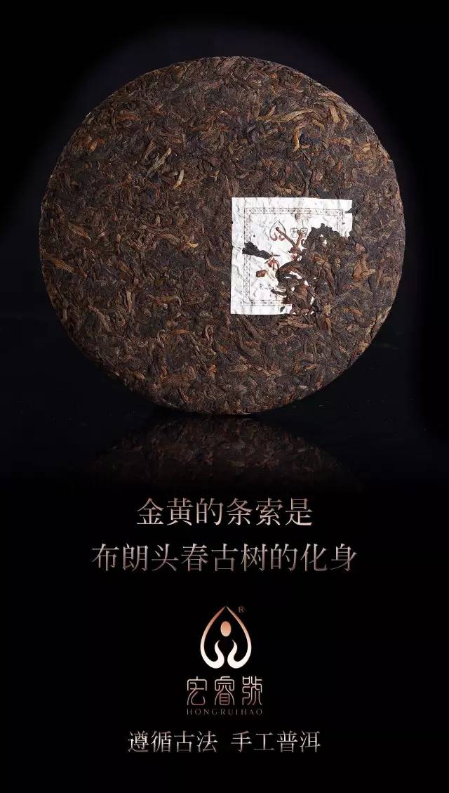 2017布朗甘韵