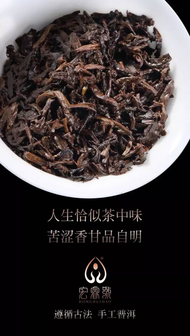 2017布朗甘韵