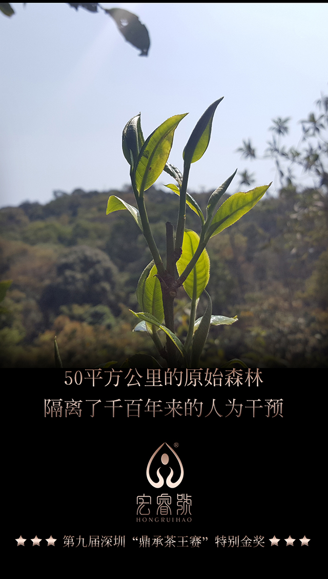 2017年刮风寨（春）