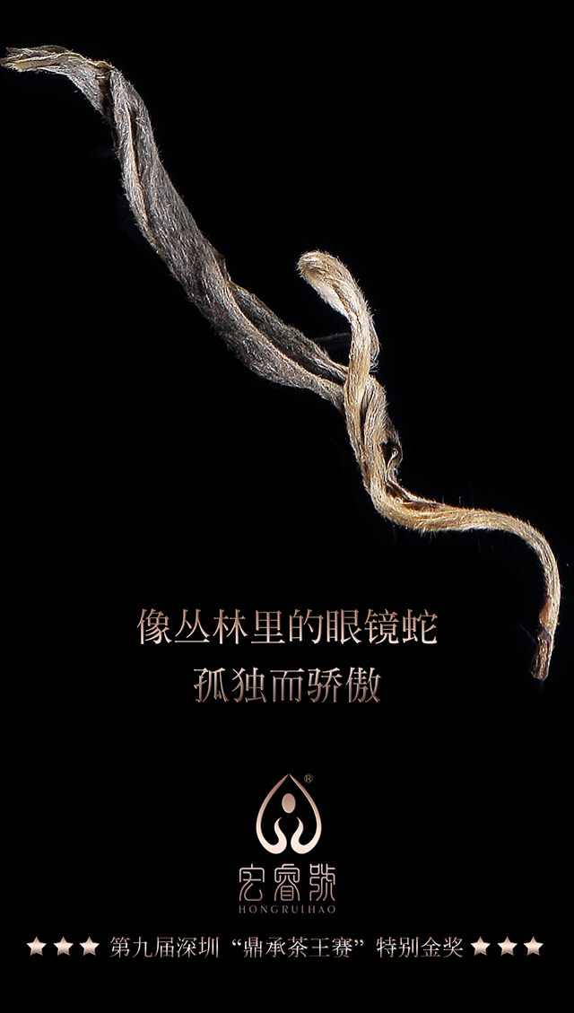 2017年刮风寨（春）