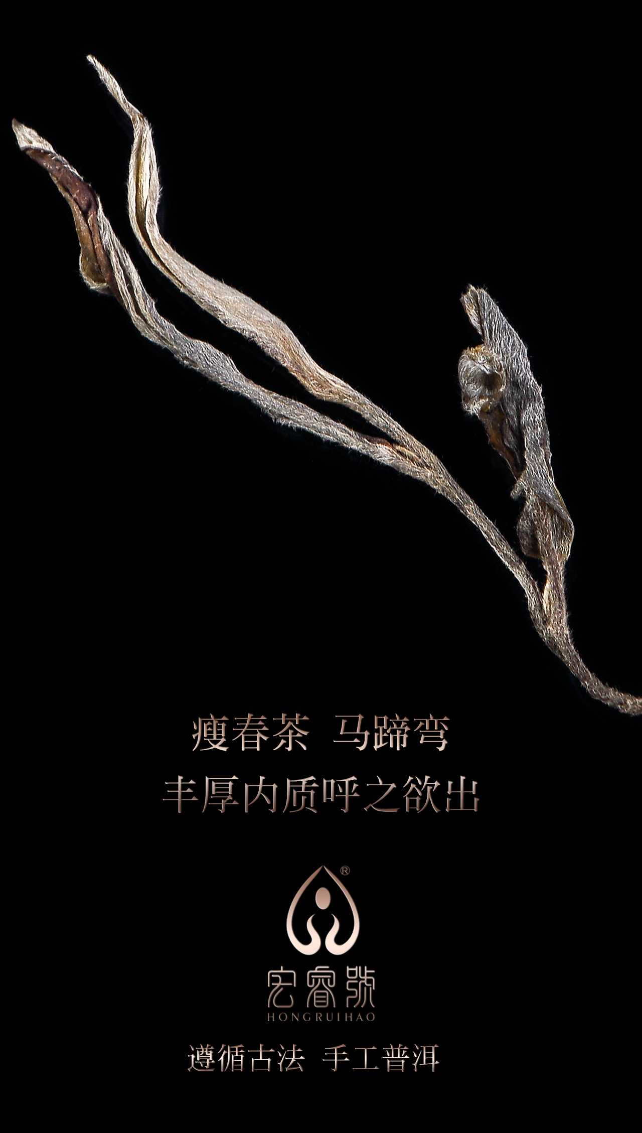 2017年班盆（春）