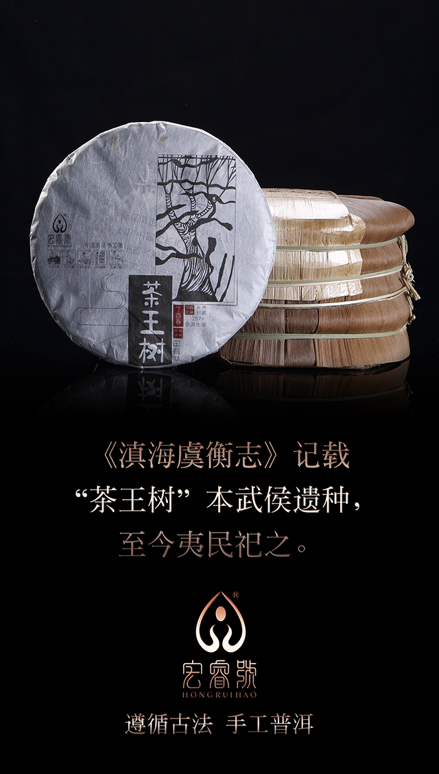 2017年茶王树（春）