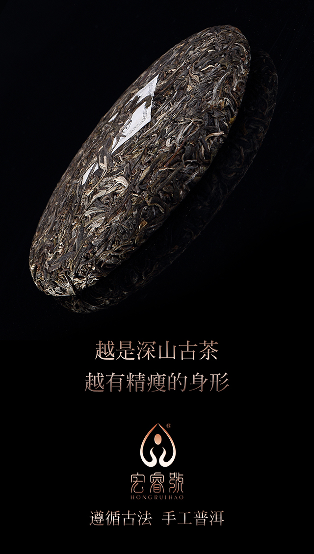 2017年茶王树（春）