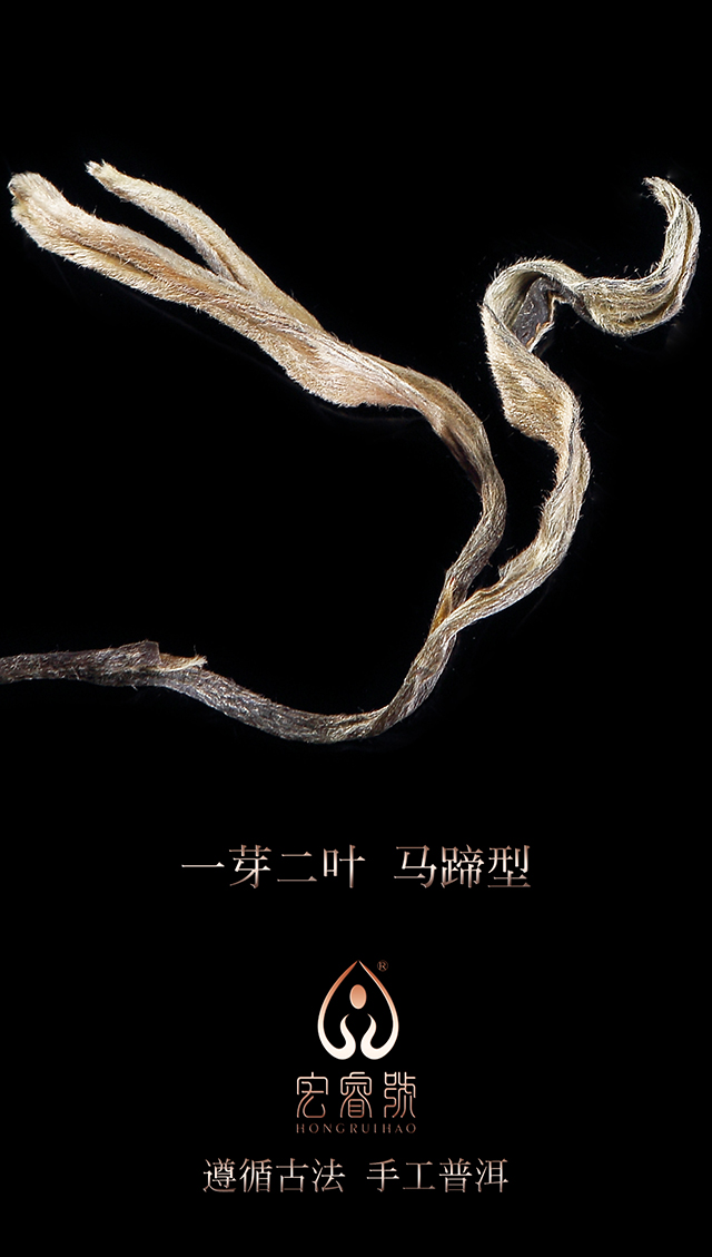 2017年茶王树（春）