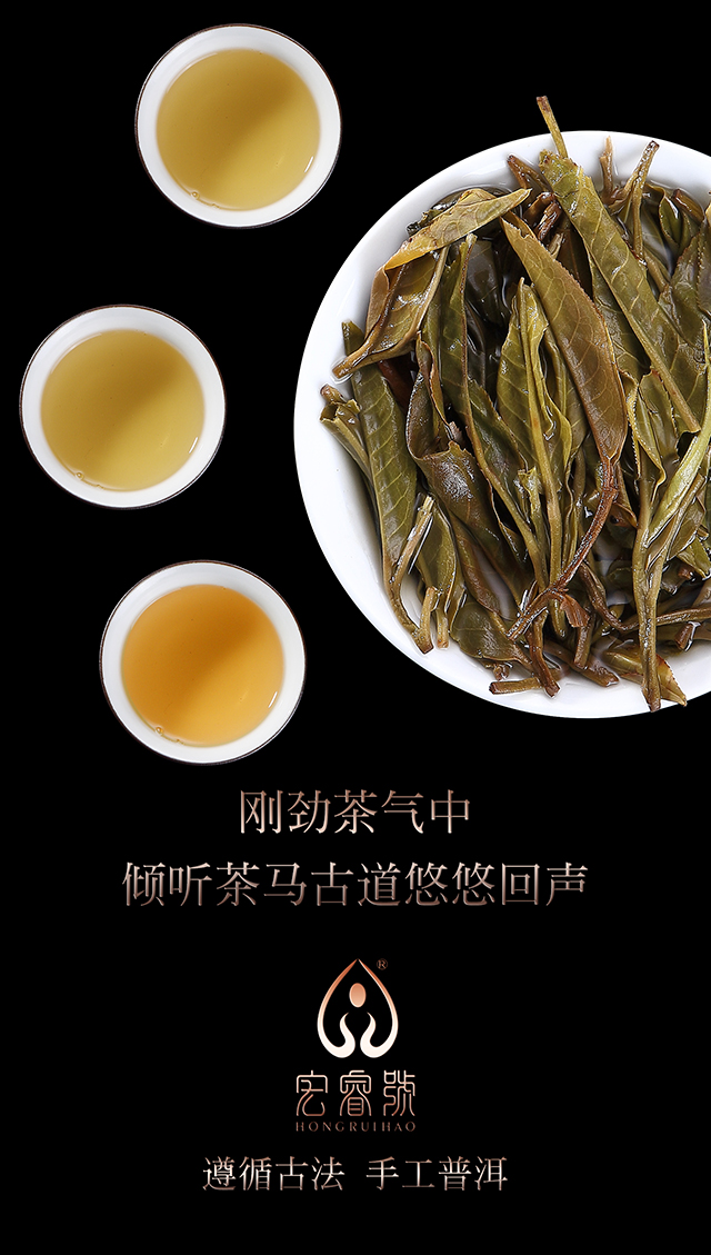 2017年茶王树（春）