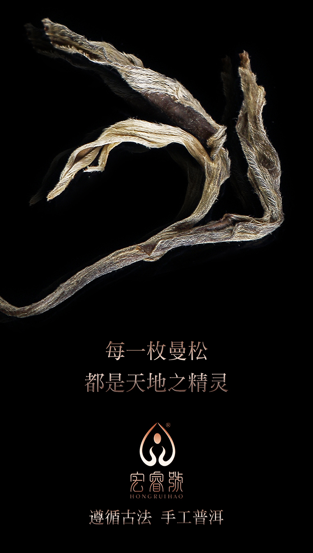 2017年曼松（春）