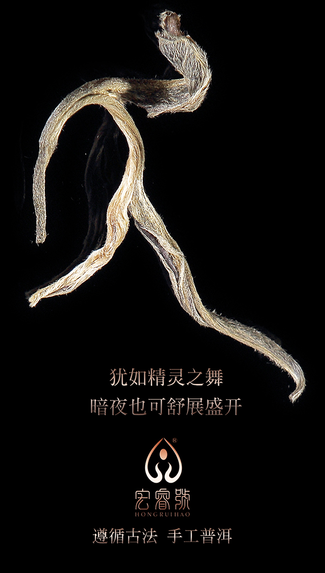 2017年明睿 曼松王子山（春）