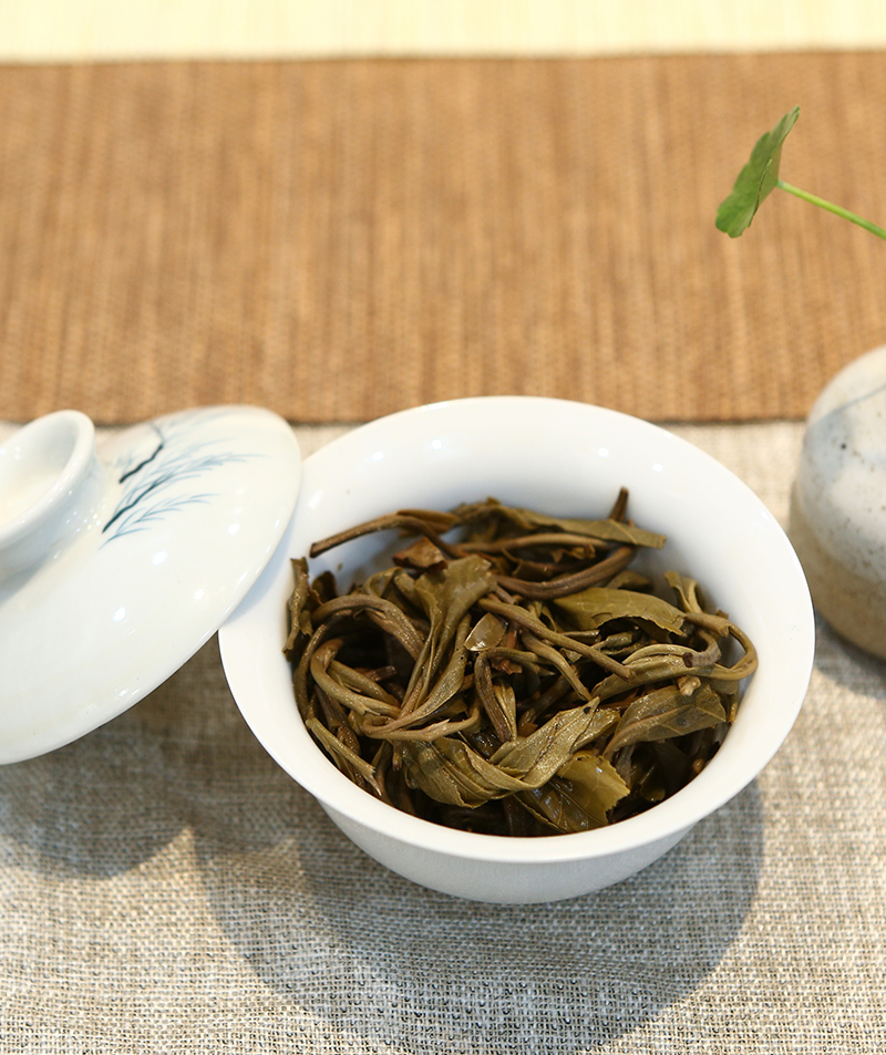 2015年刮风寨(春)