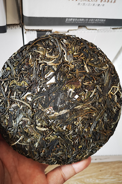 2019年茶王树（私人定制）春