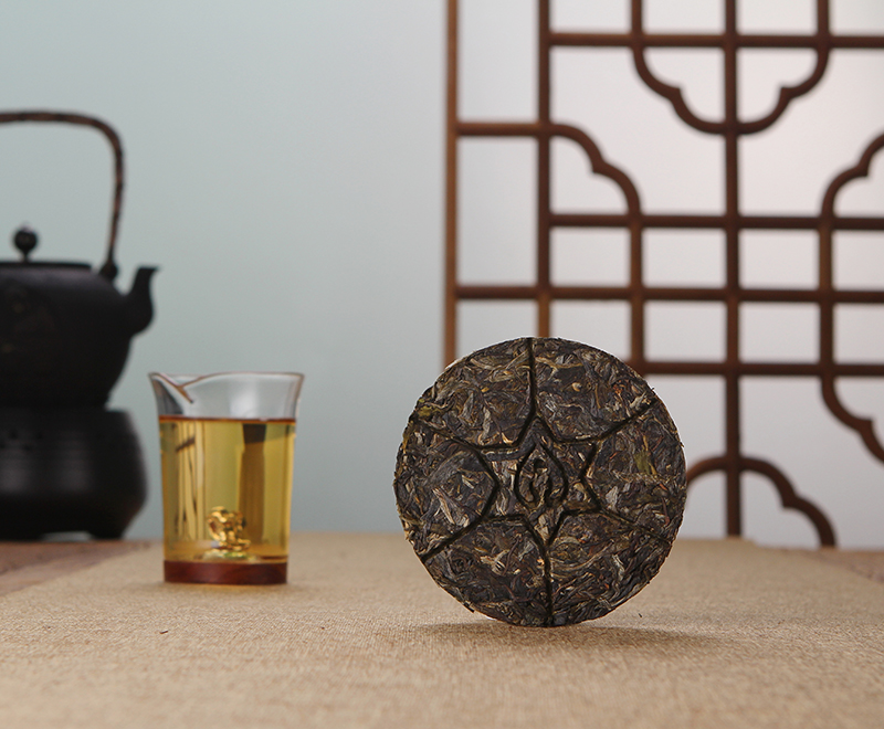 2019年 正心（春）