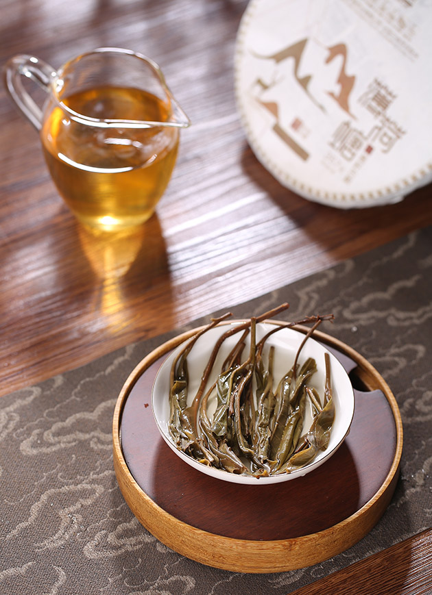 2022年薄荷塘高杆古树【春茶】
