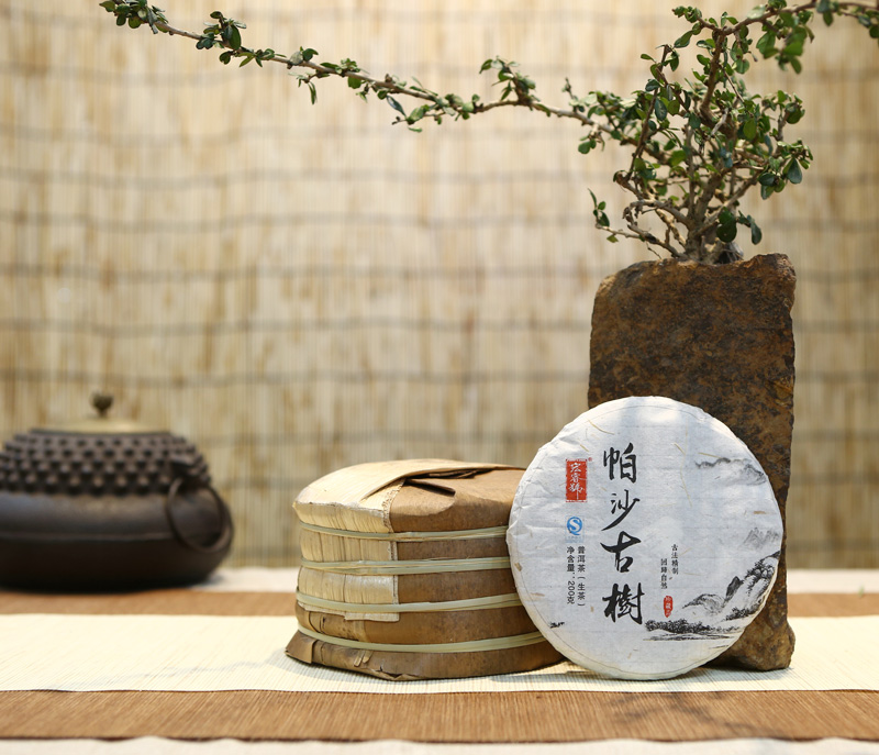 2014年帕沙小饼（春）