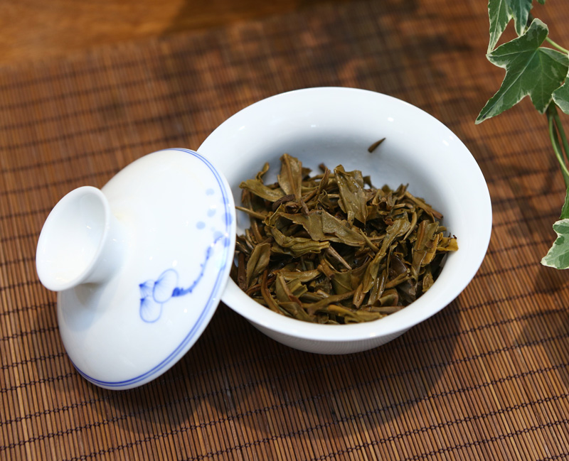 2012年麻黑（春）