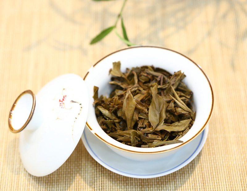 2012年南糯山（春）