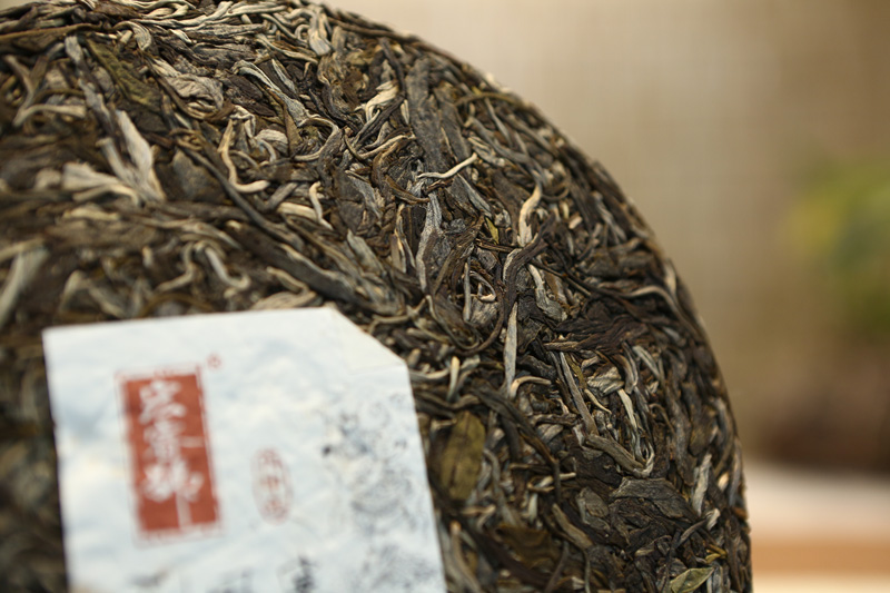 2016年刮风寨（春）