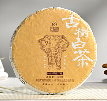 2024年古树白茶【春茶】