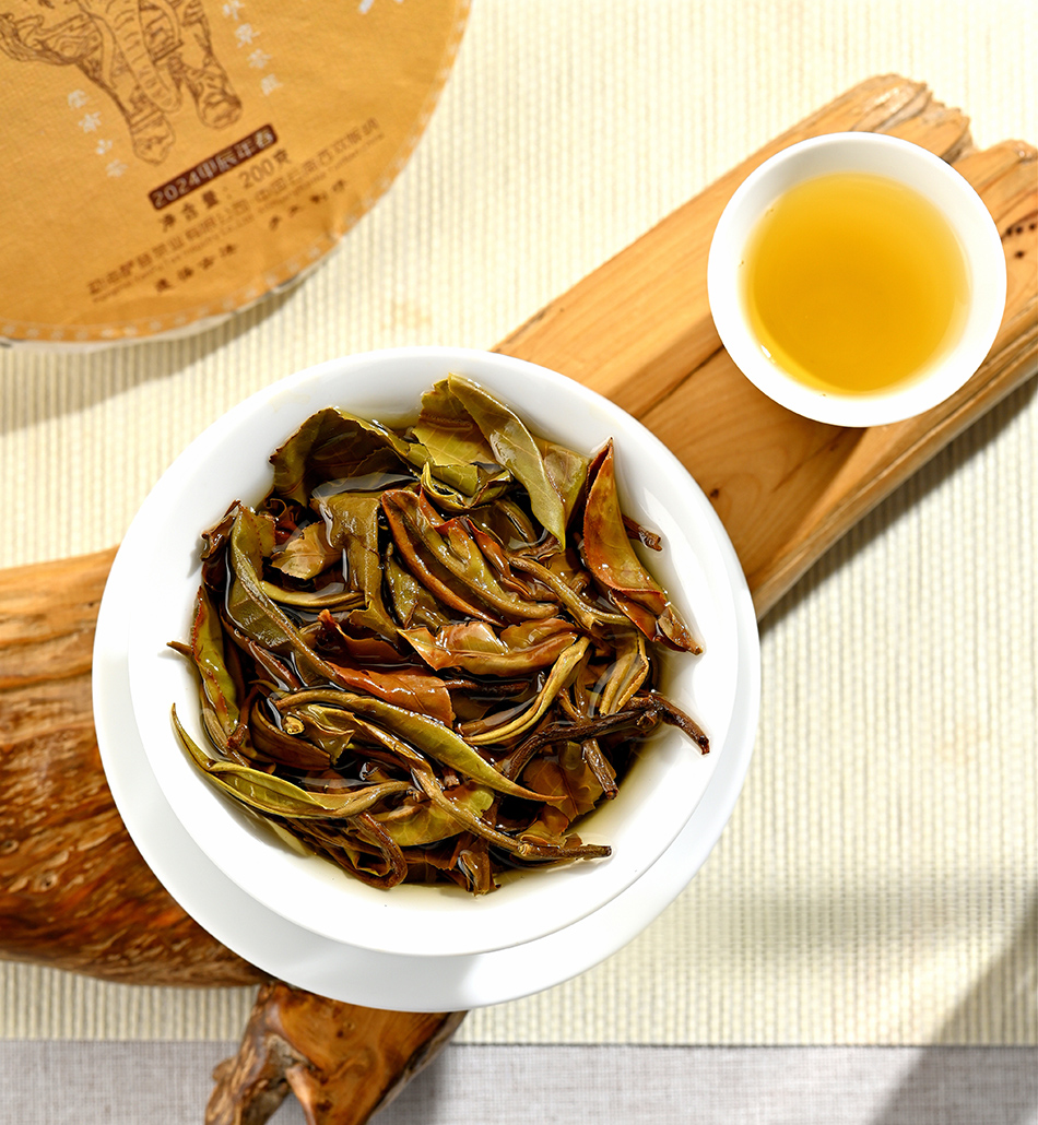 2024年古树白茶【春茶】