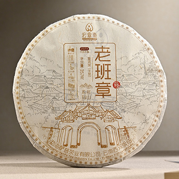 2024年老班章【春茶】
